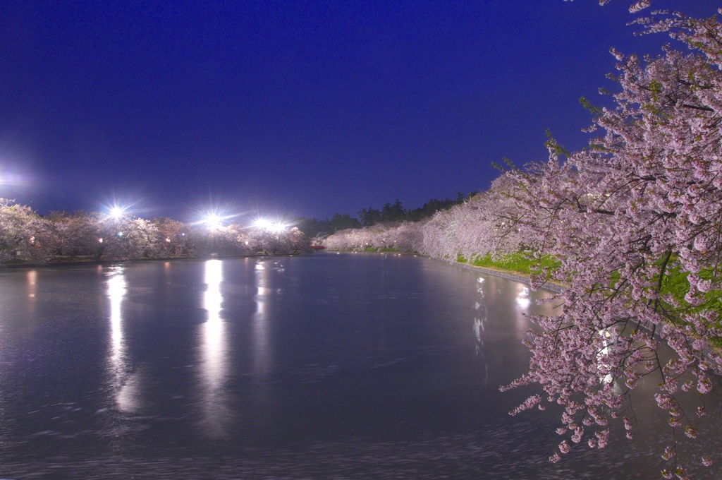弘前城_DSC0758