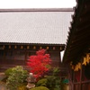 DSC03596光明寺