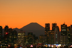 東京から見える富士