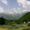 棚田