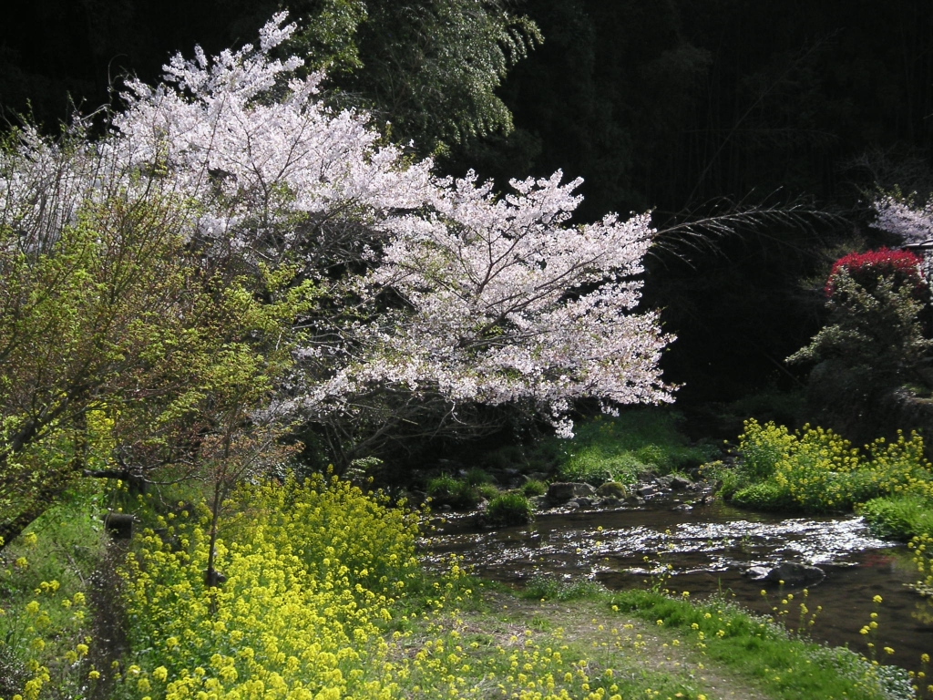山里の春