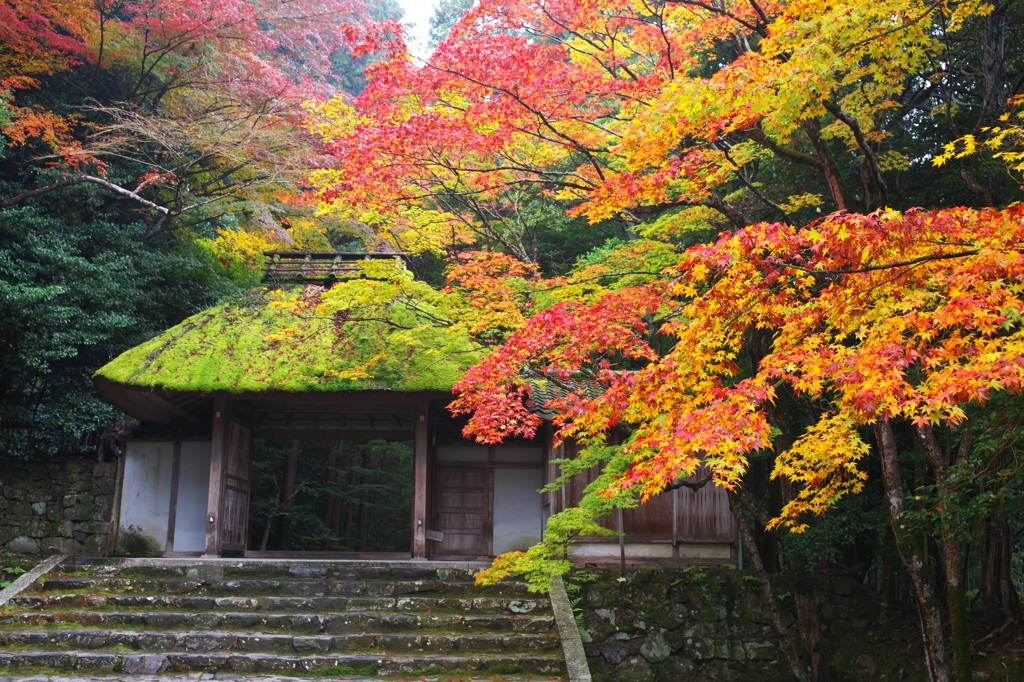 法然院山門
