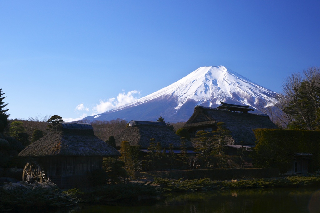 忍野