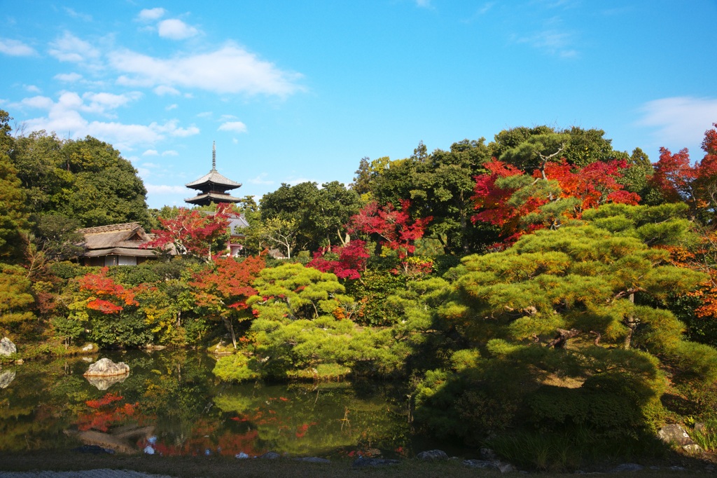 _DSC6653仁和寺