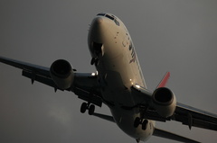 JTA B-737
