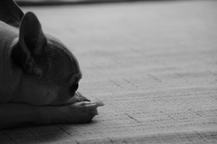 DSC00798