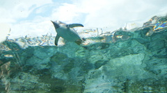 DSC01010