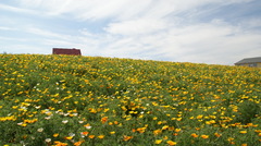 DSC01200