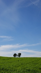 DSC01164