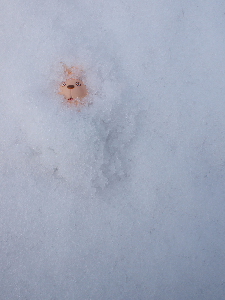 ウサビッチ只今逃走中 ～ ウホッ！目が覚めたら雪積もってるぅ～