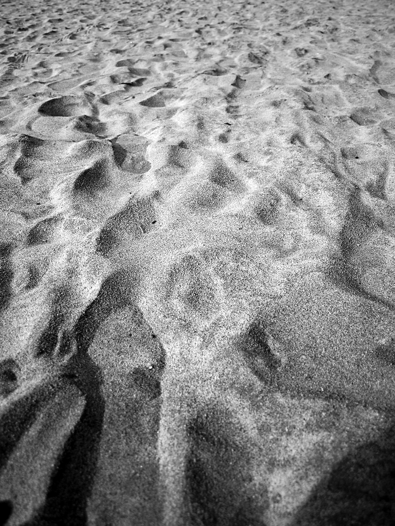 浜辺の砂