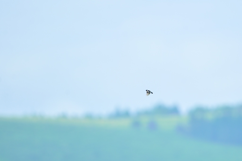 空を翔る２