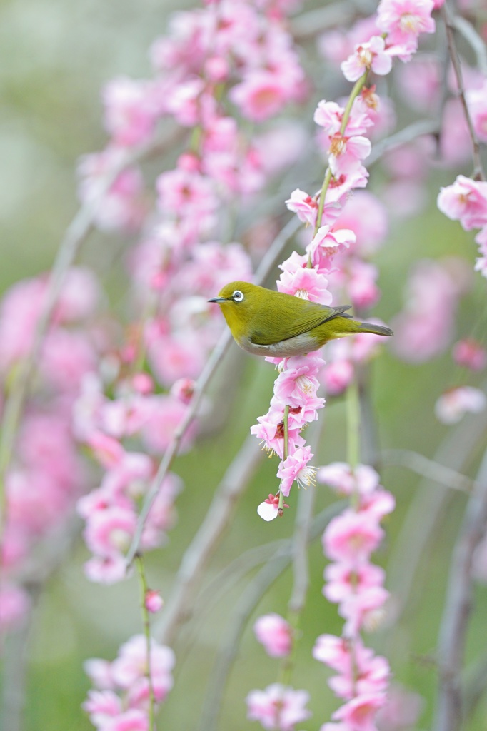 三寒四温の週末に