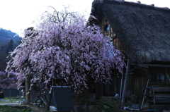 里山の春