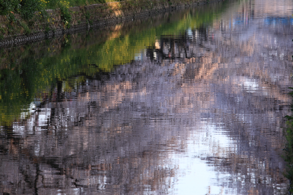 桜の鏡
