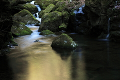 深緑の静寂