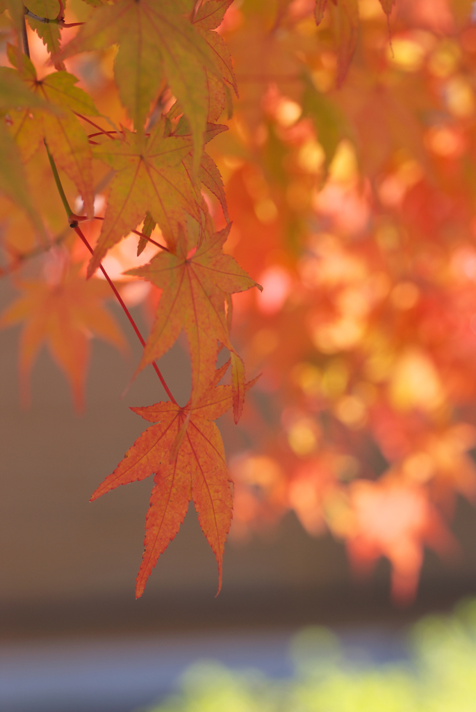 20081101032a