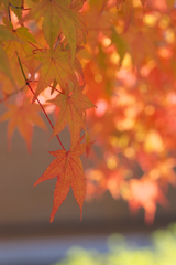 20081101032a