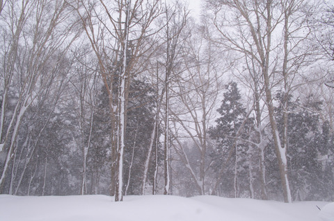 吹雪