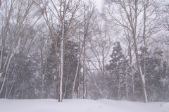 吹雪