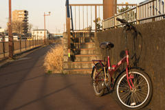 自転車