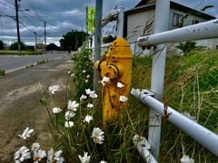 田舎の消火栓