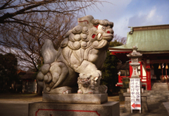 狛犬