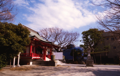 近所の神社
