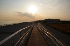 海沿いの公園
