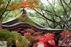 Minatogawa Shrine 3
