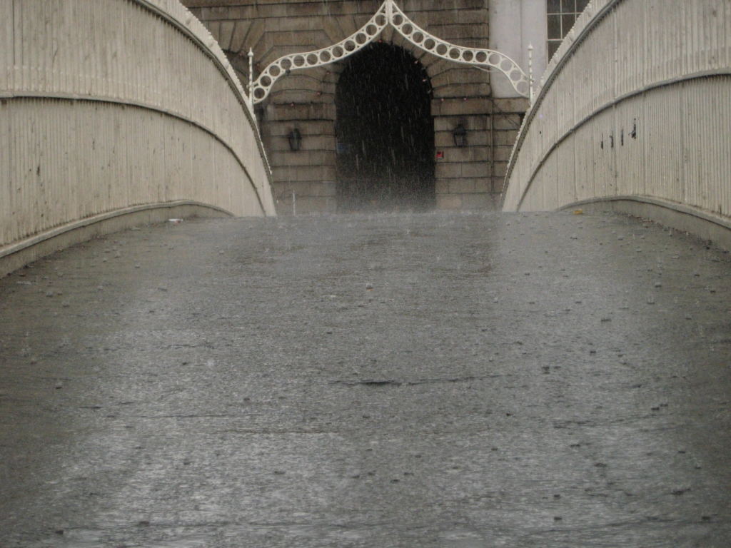 静寂の雨