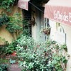 Kobe Kitano