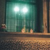 cafe　~ハーフカメラ~