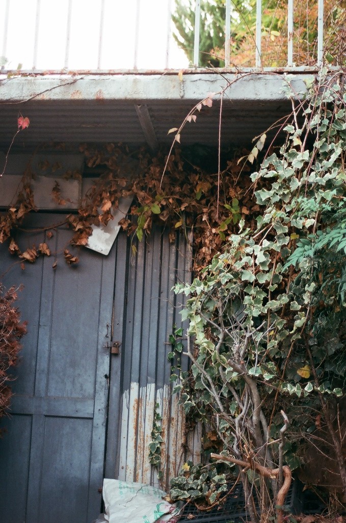leaved door