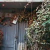 leaved door