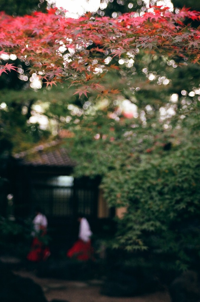 Minatogawa Shrine