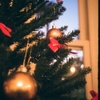 Christmas is coming soon  ~half camera~