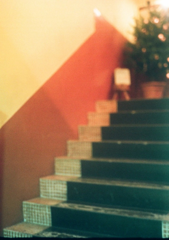 Steps for Happy Christmas  ~half camera~