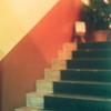 Steps for Happy Christmas  ~half camera~