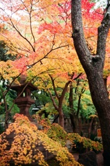 Minatogawa Shrine 2