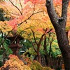 Minatogawa Shrine 2