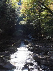 秋の渓谷