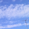 アンテナ