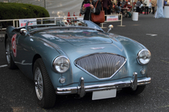 Austin-Healey