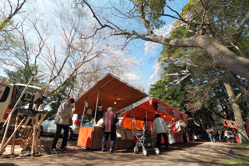 桜の下の縁日