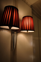 Lampshade 2