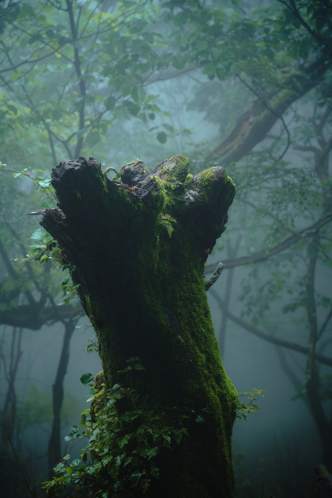 雨の筑波山