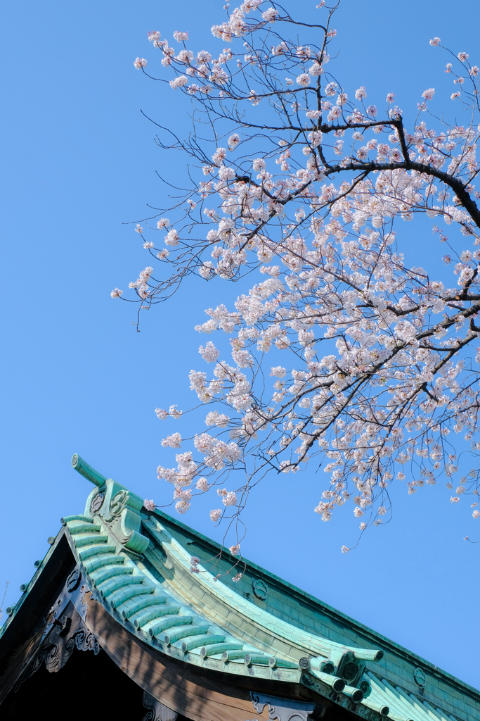 花咲く春