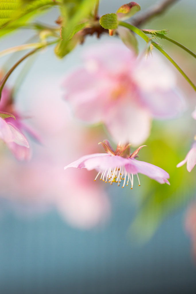From Lightroom Library