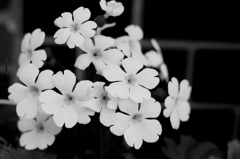 DSC01441